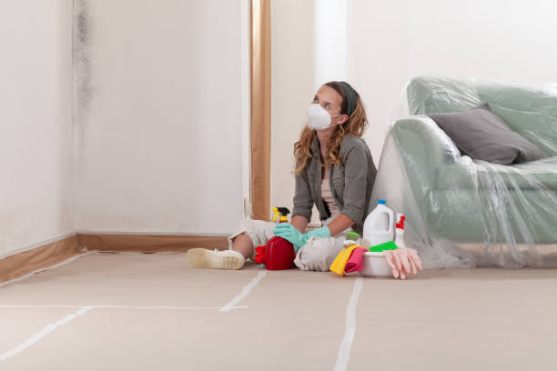 Reliable Commercial Mold Remediation contractor in West Roxbury, MA by WQB Mold Removal