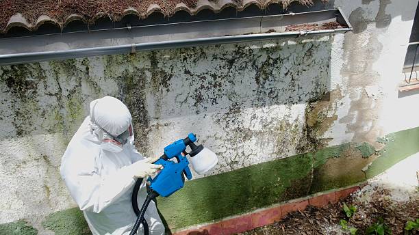 Top rated local Commercial Mold Remediation specialists in West Roxbury, MA